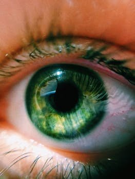 pexels-photo-7579873-7579873 Human Green Eye in Close Up
